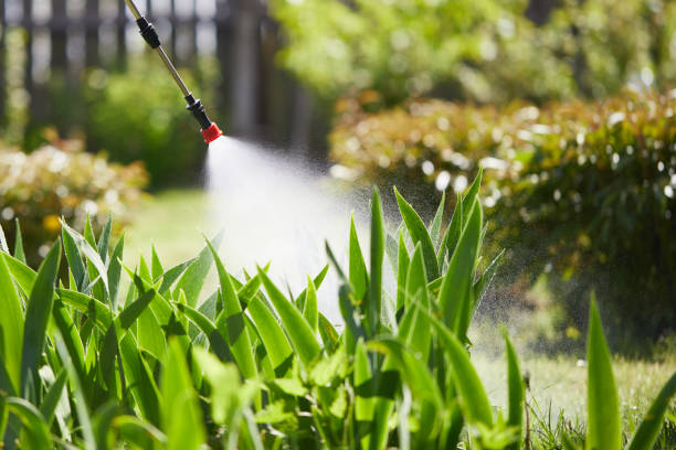 24/7 Emergency Ant Control experts in London, OH