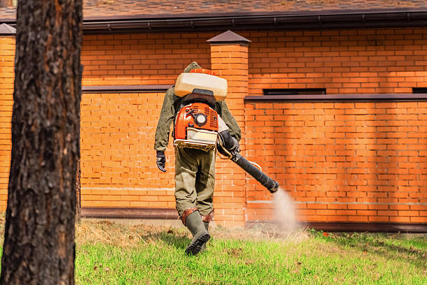 Top rated local Ant Control specialists in London, OH